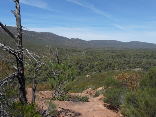 Wilpena Pound